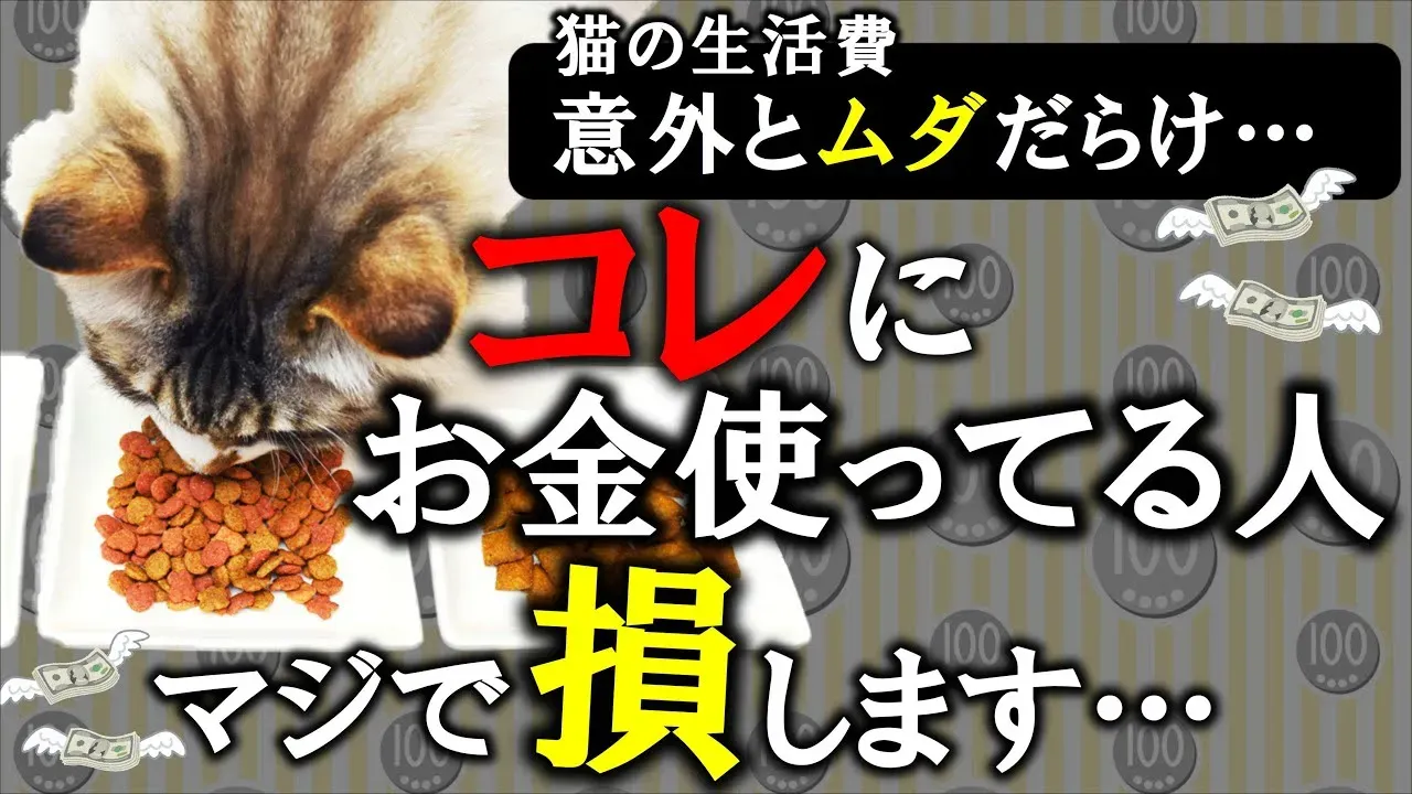 猫 ブリーダー 費用：知らなきゃ損する価格の真実と、安心できるブリーダーの絶対条件【完全版】